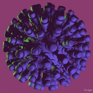 Deadly Diseases